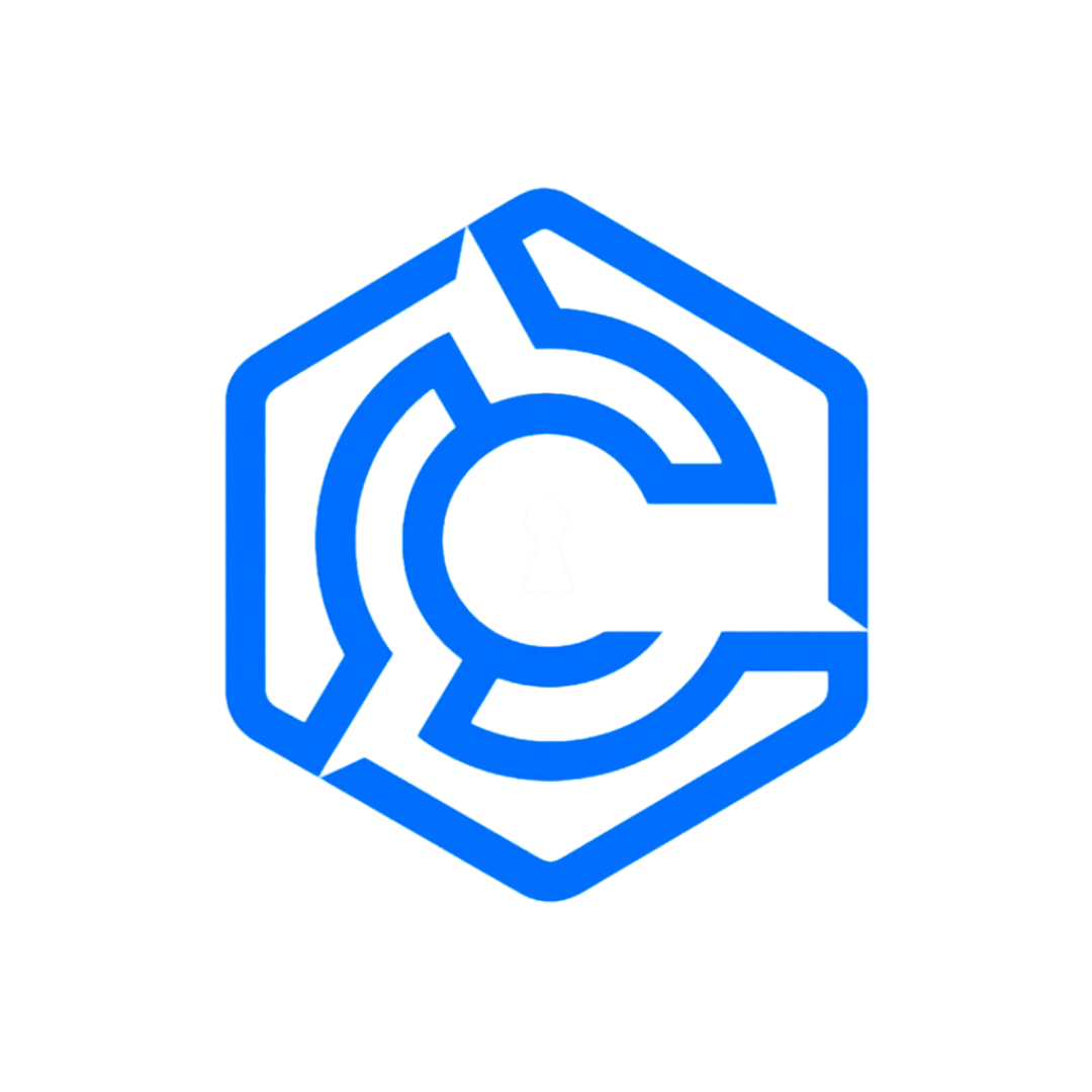 CyberOnix Solutions Logo